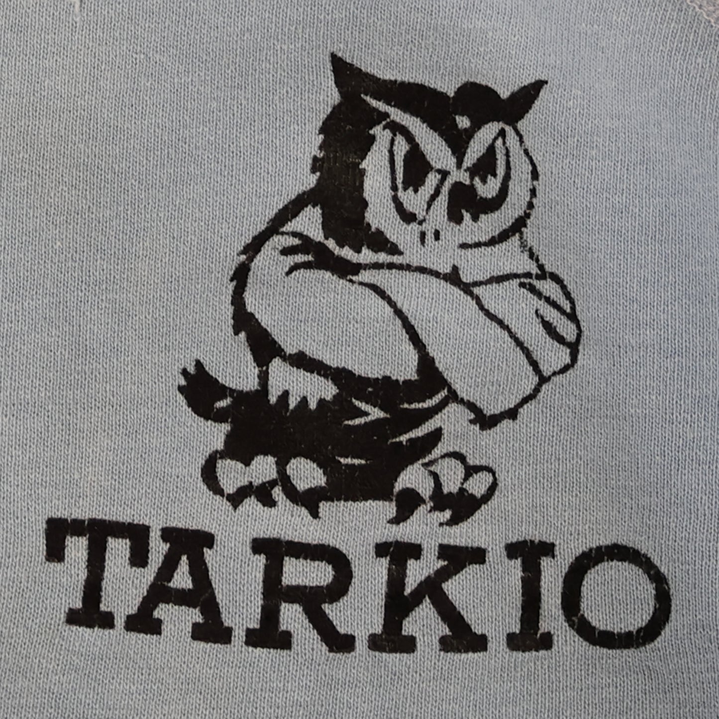 Vintage 1960s Tarkio Owls Short Sleeve Crewneck Sweatshirt