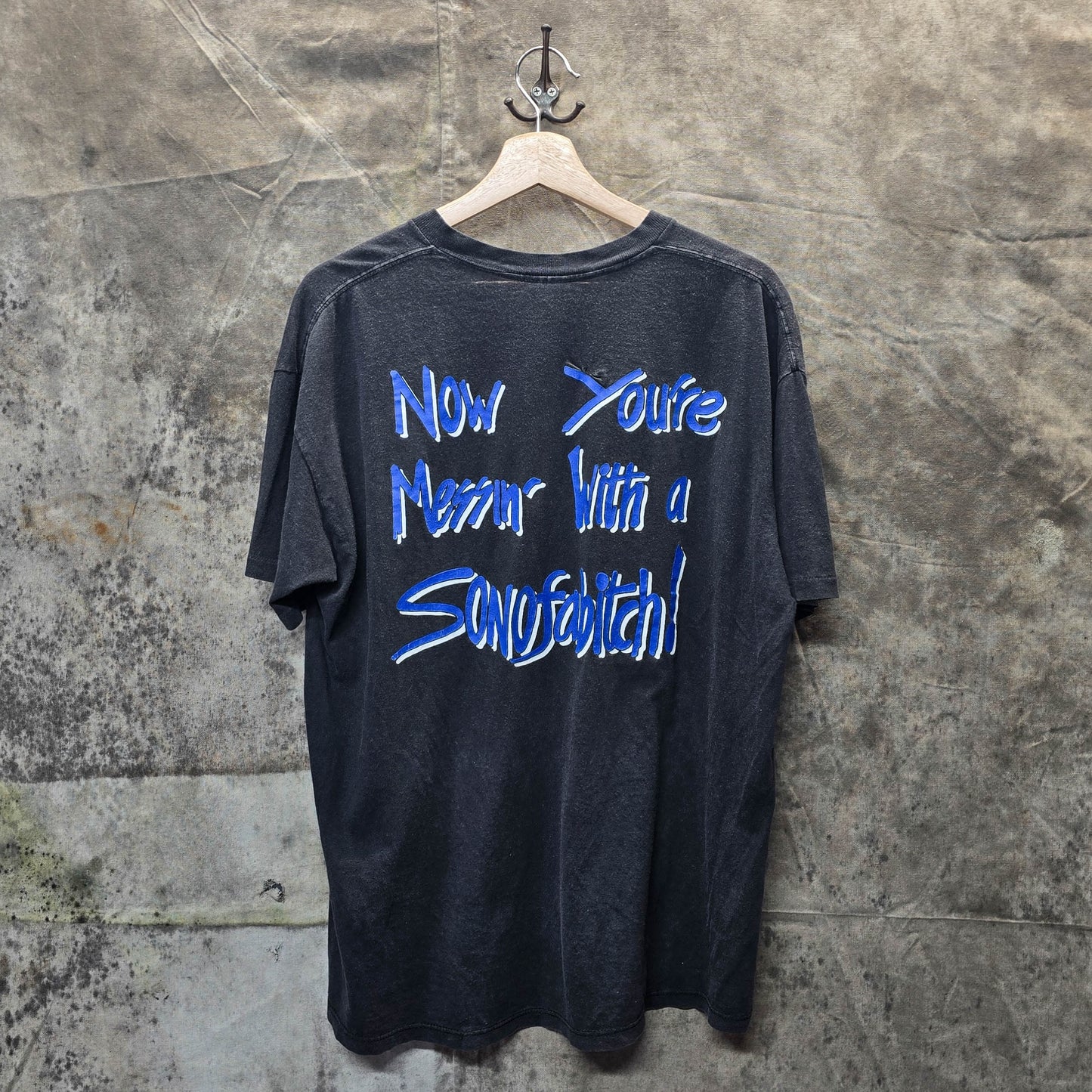 Vintage 1980s Nazareth Hair Of The Dog Shirt