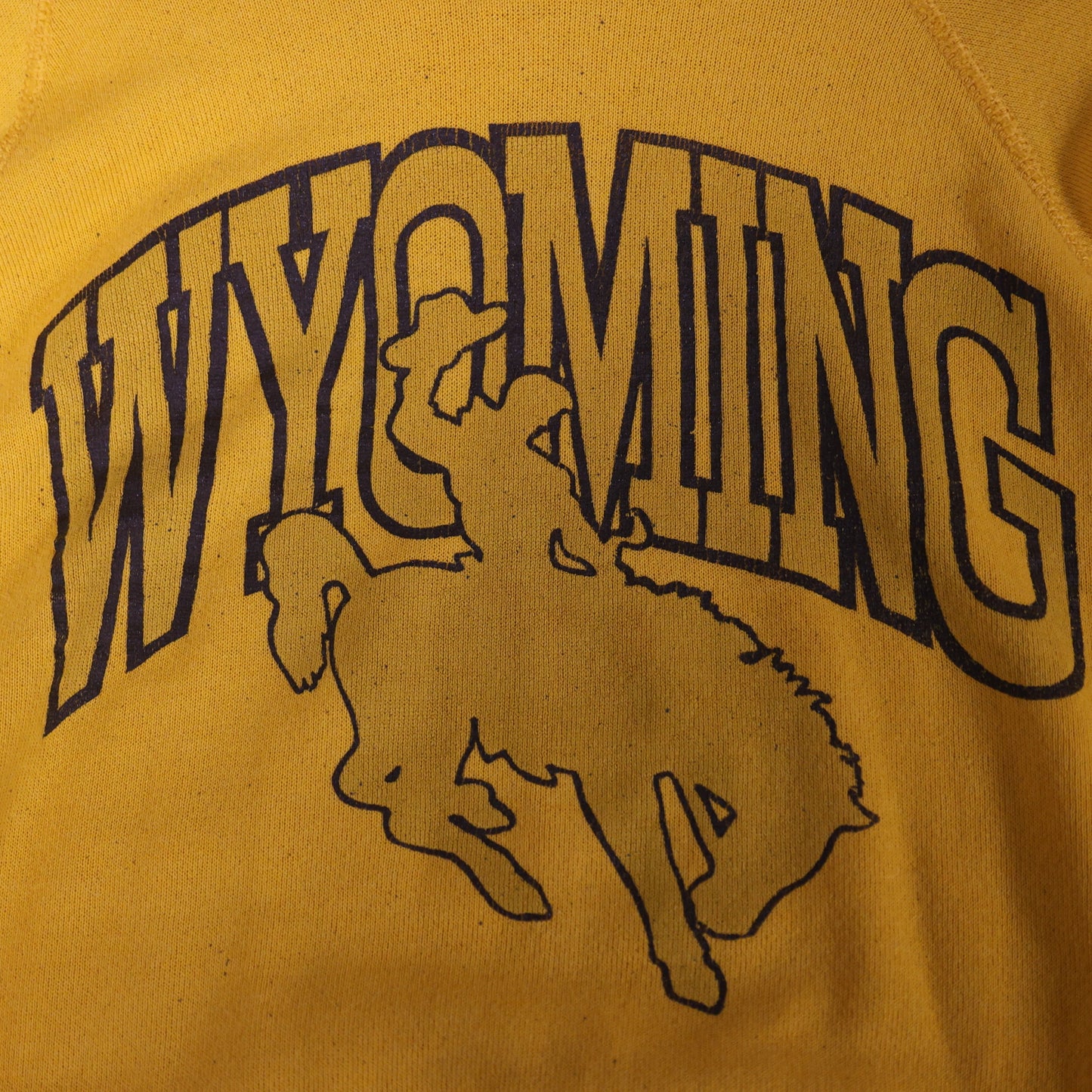 Vintage 1980s University of Wyoming Hooded Sweatshirt