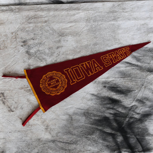 Vintage 1950s Iowa State Wool Pennant