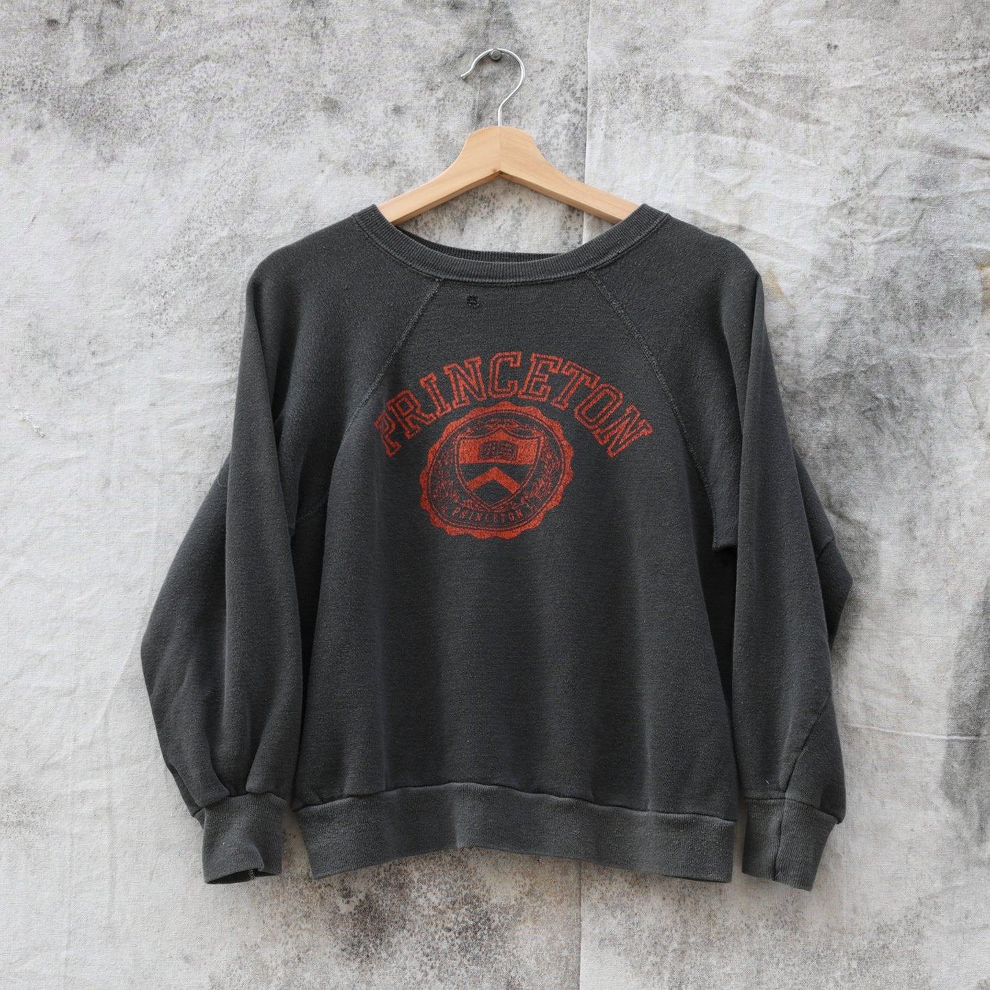 Vintage 1970s Princeton Crewneck Sweatshirt