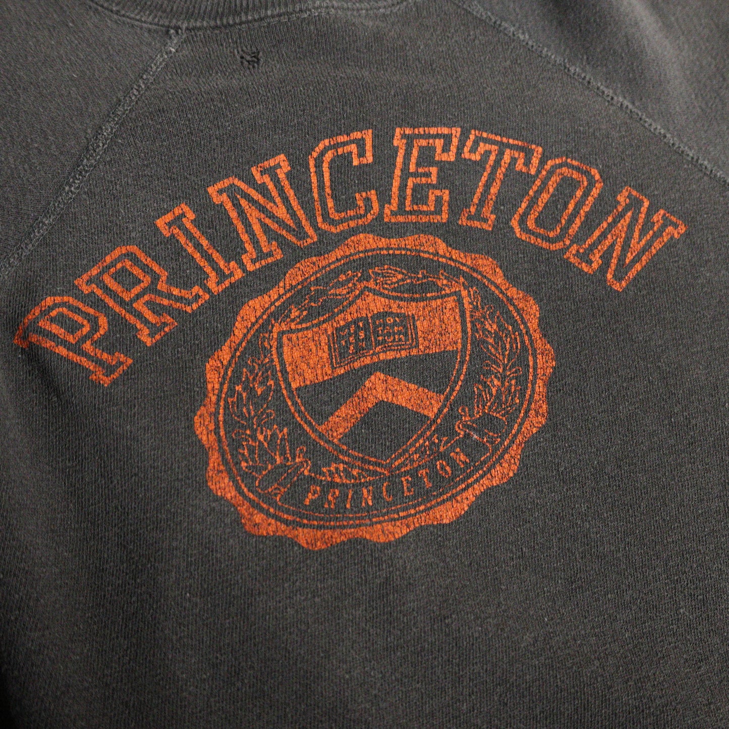 Vintage 1970s Princeton Crewneck Sweatshirt